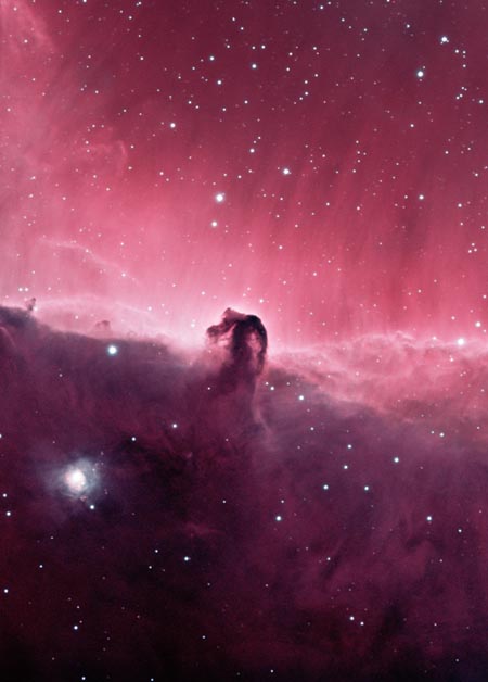horsehead nebula. Horsehead Nebula