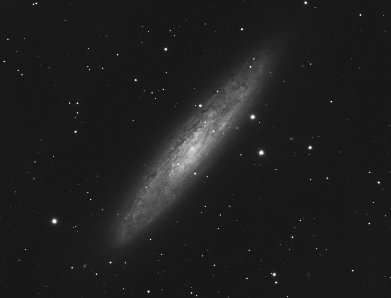 ngc253_ap180edt_fp_u8300_camel_37x5min_xga.jpg